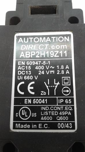 Used Automation Direct ABP2H19Z11