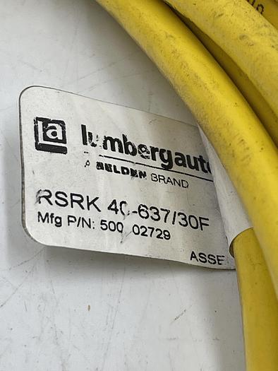 Used lumbergautomation RSRK-40-637/30F