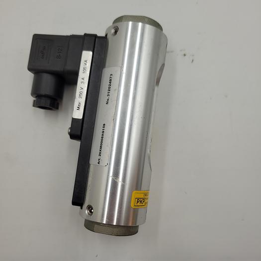DS03 - Variable Area Flowmeter and Switch - PKP