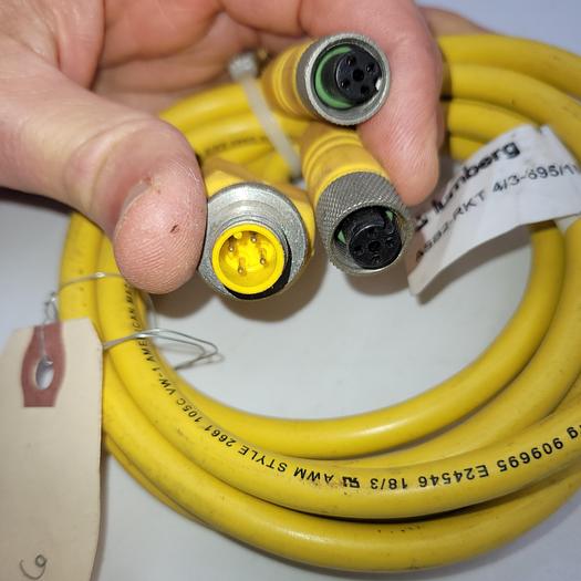Used Lumberg Automation 909695 / E41663 ( ASB2-RKT4/3-695-1M ) dual end female / 1 Meter long w/ Splitter (4 prong male)