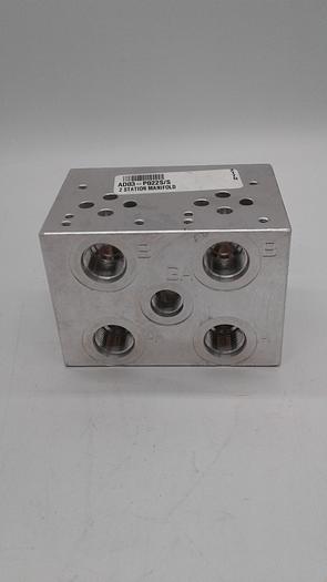 Used DAMAN 0118 AD03-P022S/S 2 Station Manifold