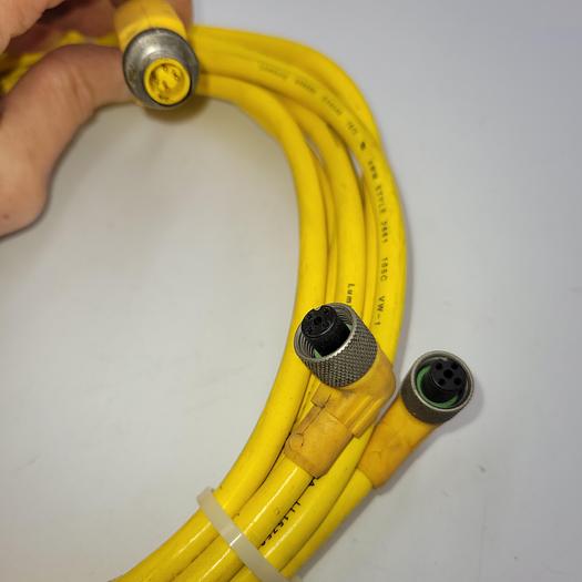 Used Lumberg Automation 909695 / E24546 dual female 90 degree ends/ 3 Meters long w/ Splitter (4 prong male)