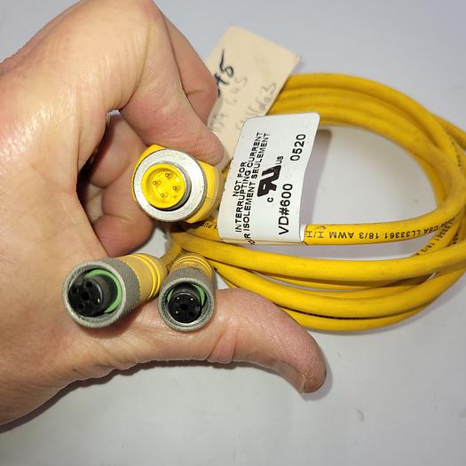 Used Lumberg Automation 909645 / E41663 ( ASB2-RKT4/3-645-1M ) dual end female  / 1 Meter long w/ Splitter (4 prong male)