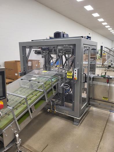 Used OMAG 1 gram filler packet and SERPA P150 cartoner line (2018)