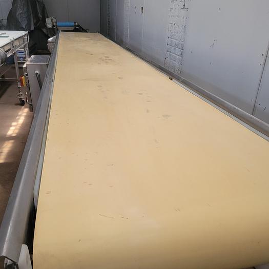 Used Stainless conveyor 30" wide 20' long on wheels with VFD