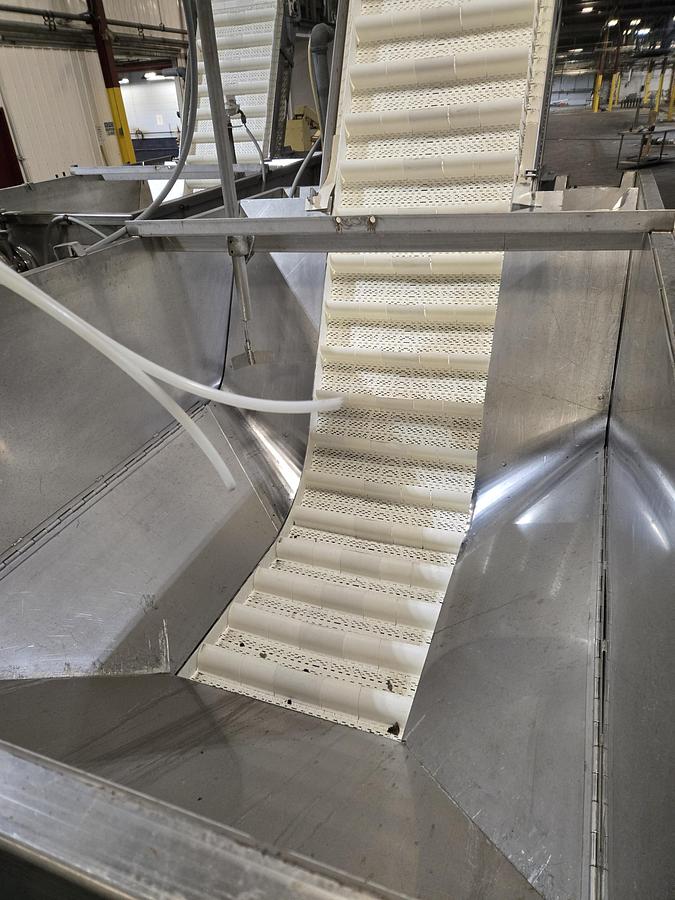 Used Stainless wash tank with incline conveyor