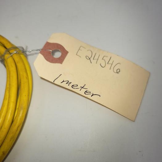 Used Lumberg Automation E24546 dual end female  / 1 Meter long w/ Splitter 4 prong male