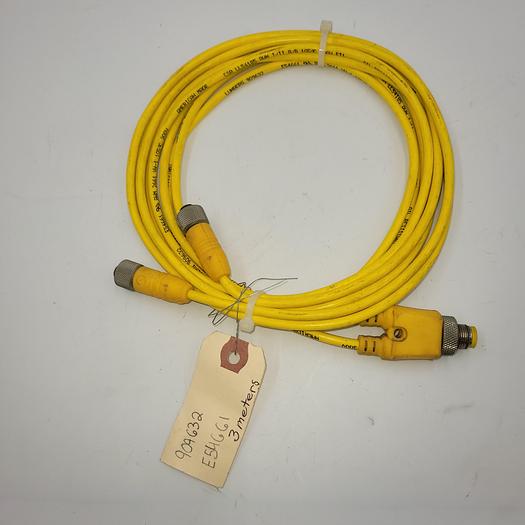 Used Lumberg Automation 909632 / E54661 dual end female / 3 Meters long w/ Splitter (4 prong male)