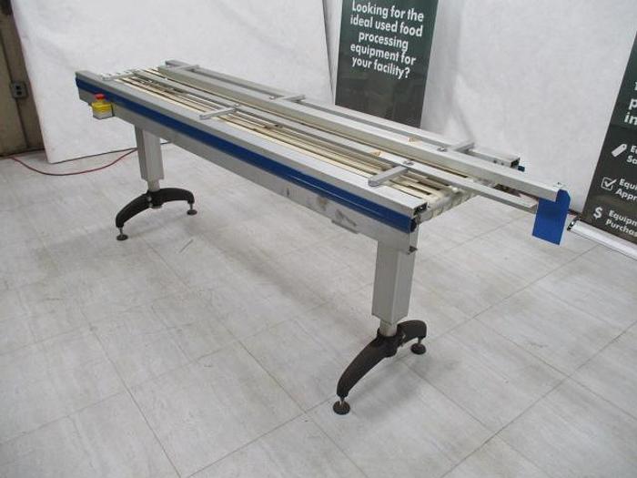 Used Conveyor; Slat Belt