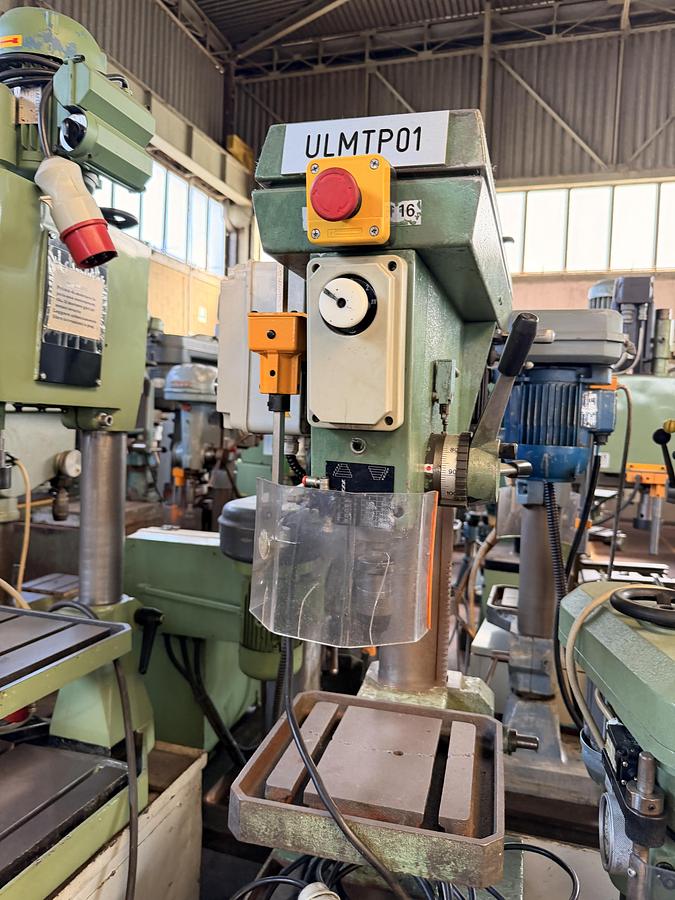 Buone Trapano da Banco BIMAK 16