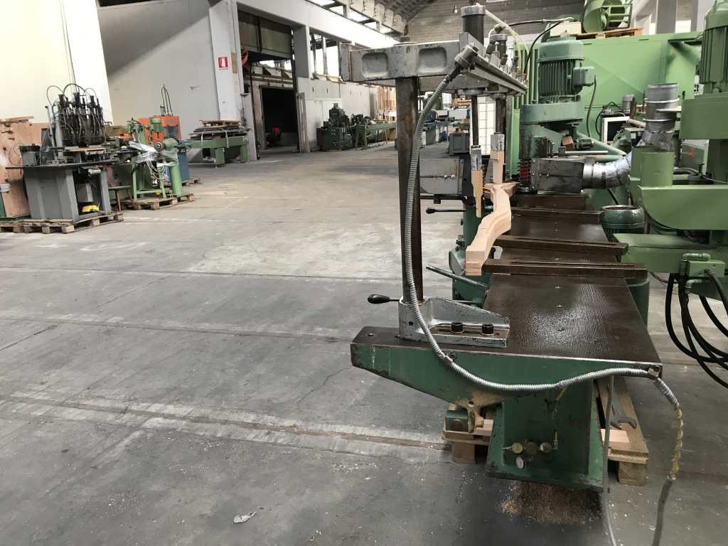 Usato Sagomatrice fresatrice bialbero marca Bacci