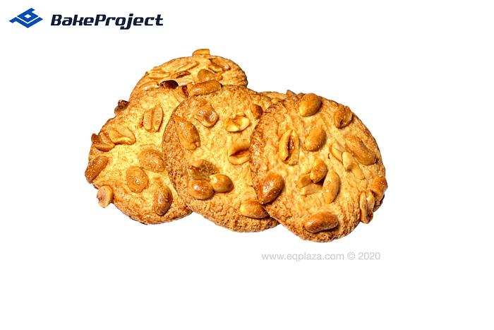 ROTOR LINE WKB-600 rotary molding line with conveyor and additional equipment