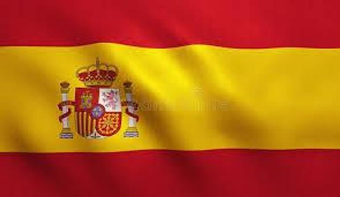 Used F&P Cut To Length Lines #0291