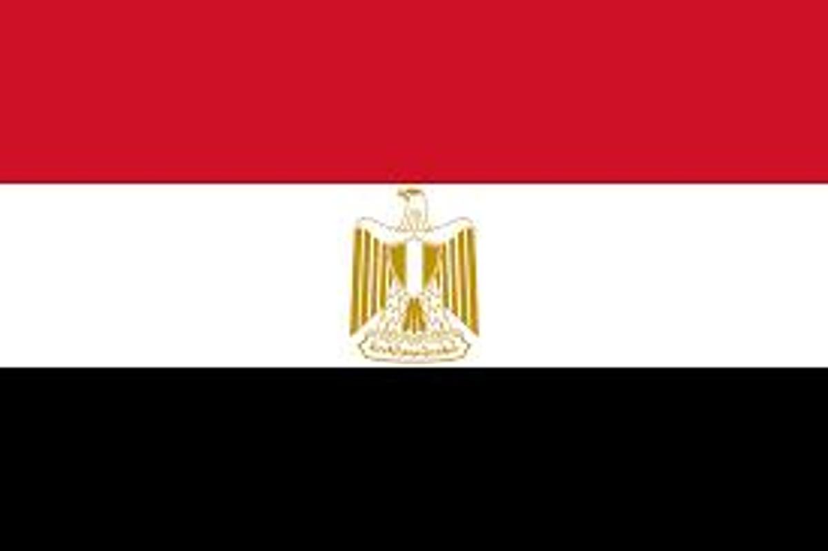 Used F&P Steel Long Product Equipment in Egypt