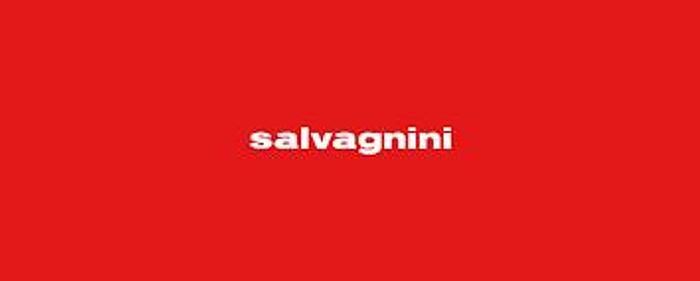 Used SALVAGNINI Lasers, Used