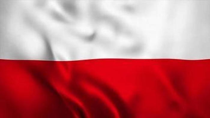 Used F&P Cut To Length Lines #0265