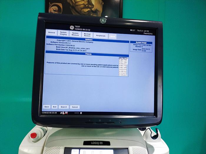 Gebraucht GE LOGIQ E9 Flachbildschirm-Ultraschallgerät inkl. 1 Sonde und DVD-Brenner