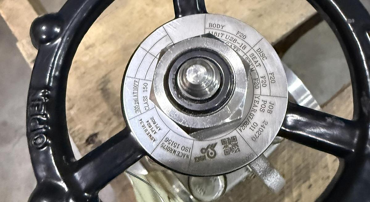 DSI 3/4" 150 RF FS GATE VALVE A-20 BODY A-20 TRIM