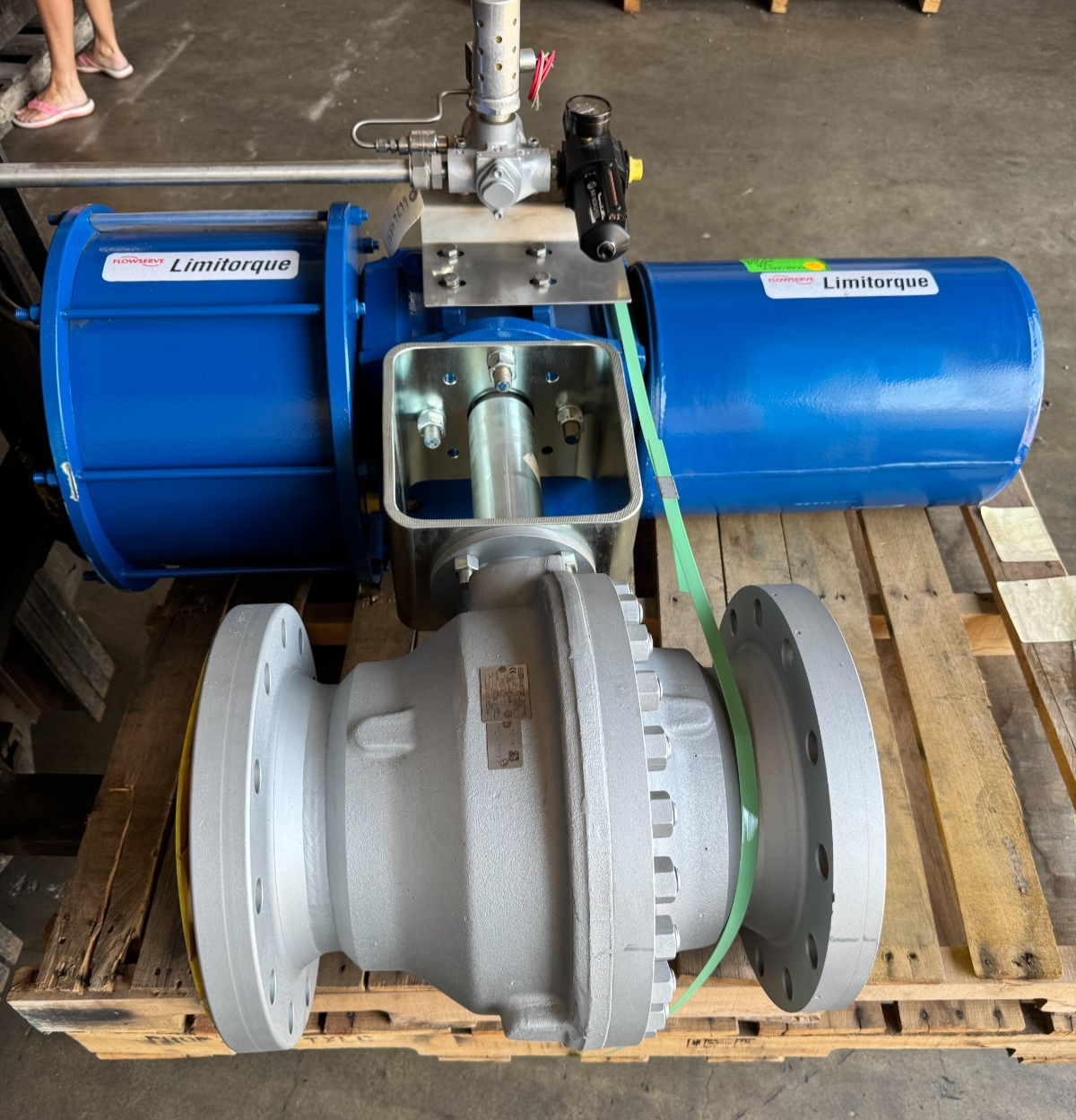 ARGUS 8" 300 RF FP BALL VALVE FK76M V1 W LIMITORQUE ACTUATOR  LPS-15A-385B-F03-3