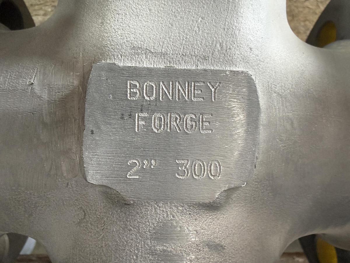 BONNEY 2" 300 RF FS GATE VALVE 316L BODY 316L TRIM