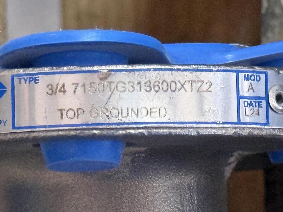 JAMESBURY 3/4" 150 RF BALL VALVE FP FIG # 3/4" 7150313600XTZ2 316 BODY