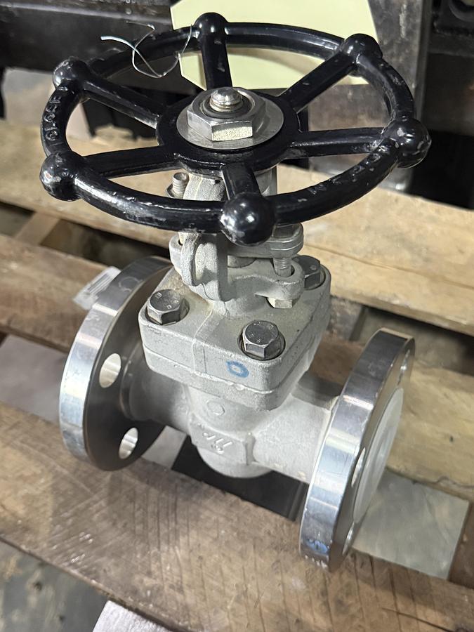 DSI 11/2" 300 RF FS GATE VALVE 316L BODY 316L TRIM