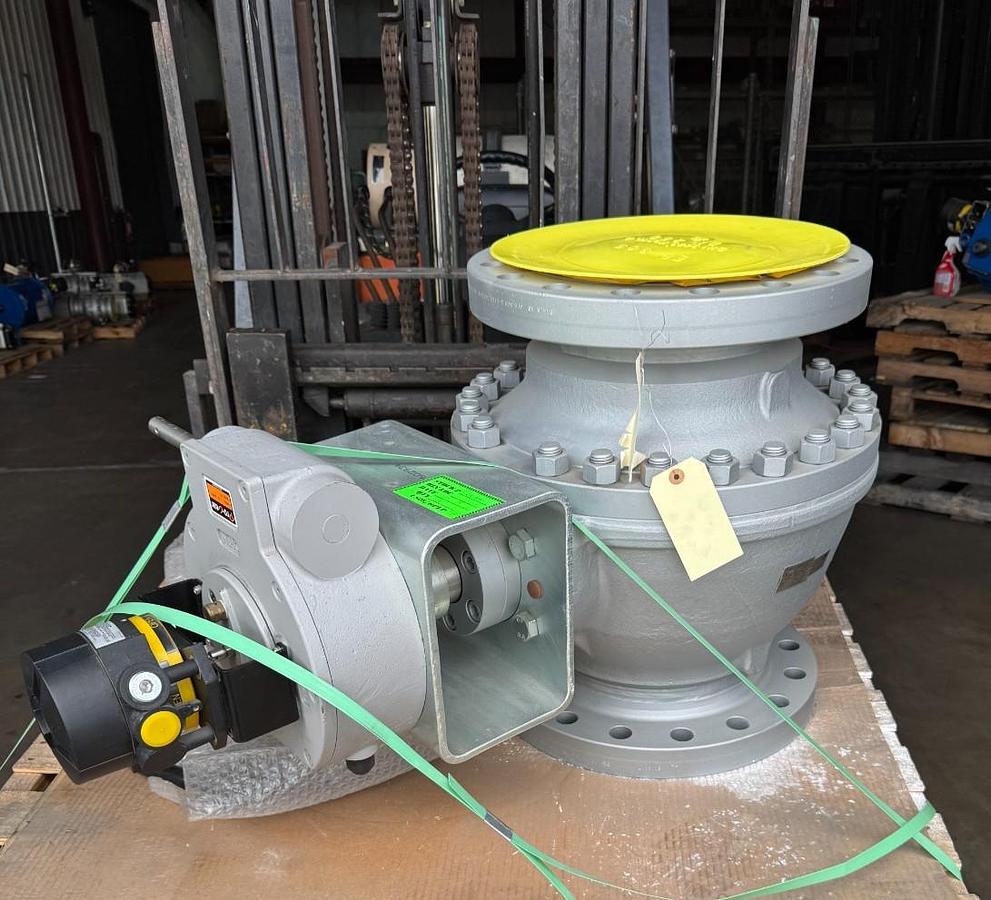 ARGUS 10" 300 RF FP BALL VALVE FK76M V13 V14 WITH GEAR OPERATOR