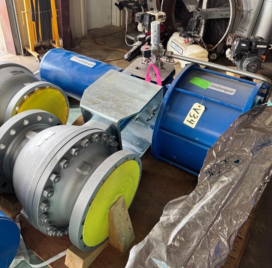 ARGUS 10" 300 RF FP BALL VALVE FK76M V33 W LIMITORQUE ACT LPS-20A-535B-FC2-3