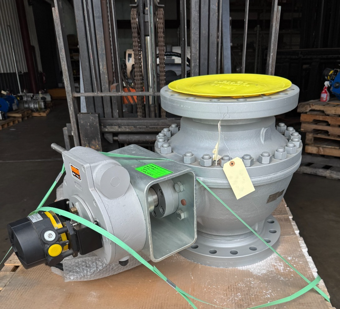 ARGUS 10" 300 RF FP BALL VALVE FK76M V13 V14 WITH GEAR OPERATOR