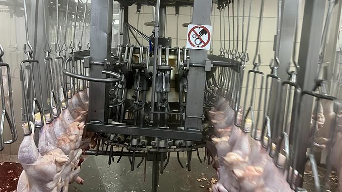 Used LINCO Evisceration line