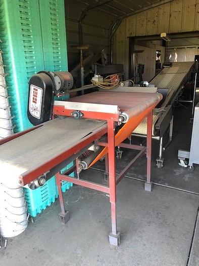 Used Fresh Pack Blueberry Packing Line