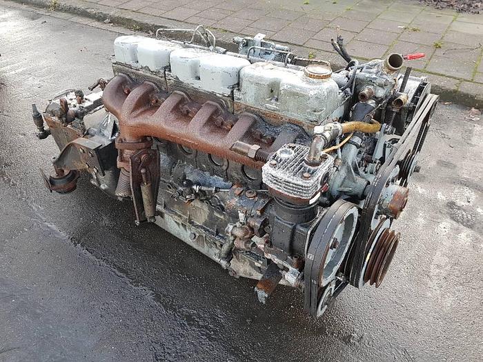 Used MAN D0826 for sale - the Netherlands