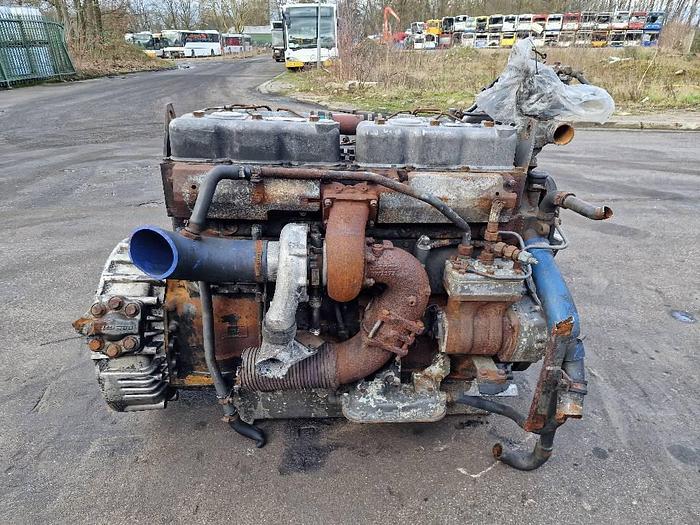 Used DAF WS 315 M for sale - the Netherlands