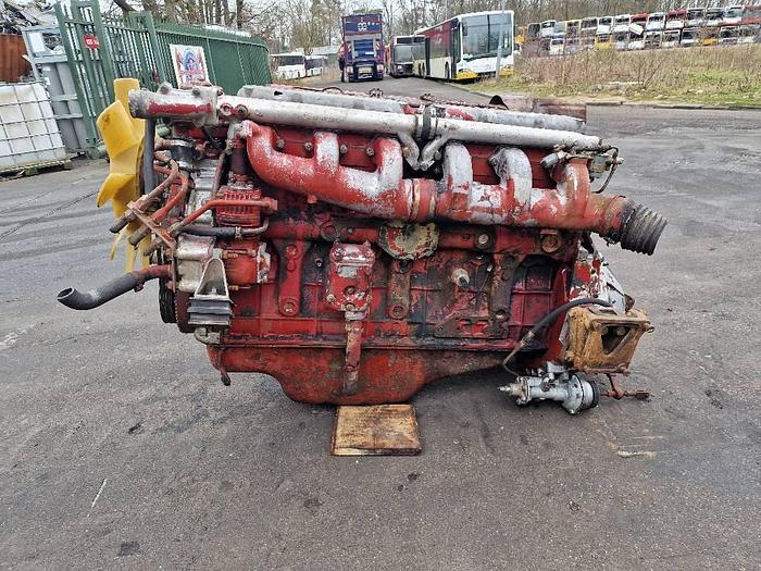 Used Iveco 8210 for sale - the Netherlands