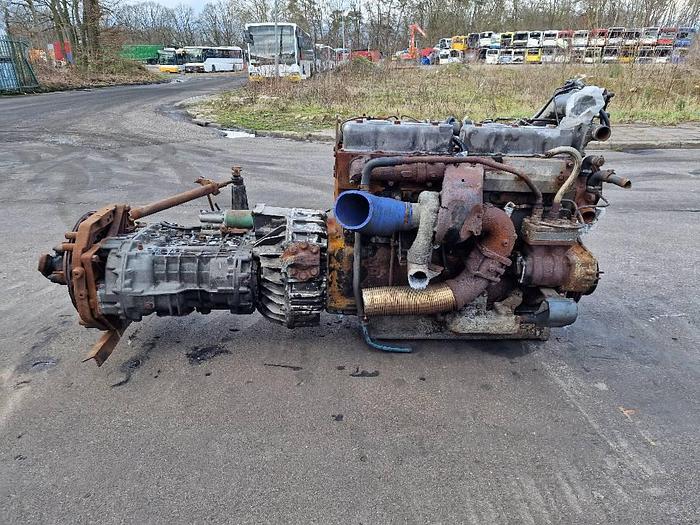 Used DAF WS 268 M for sale - the Netherlands