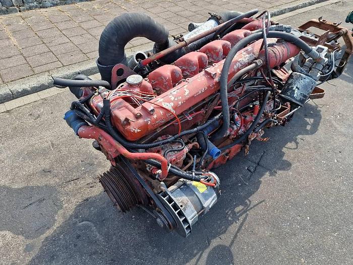 Used MAN D2866 for sale - the Netherlands