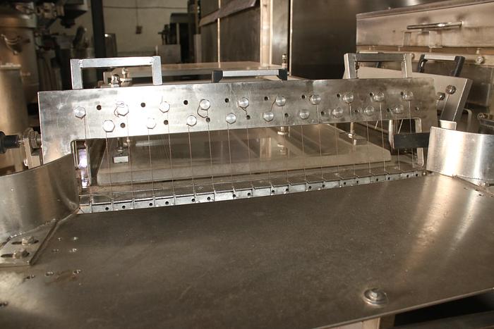 Refurbished Franz HAAS 48 Wafer Production line