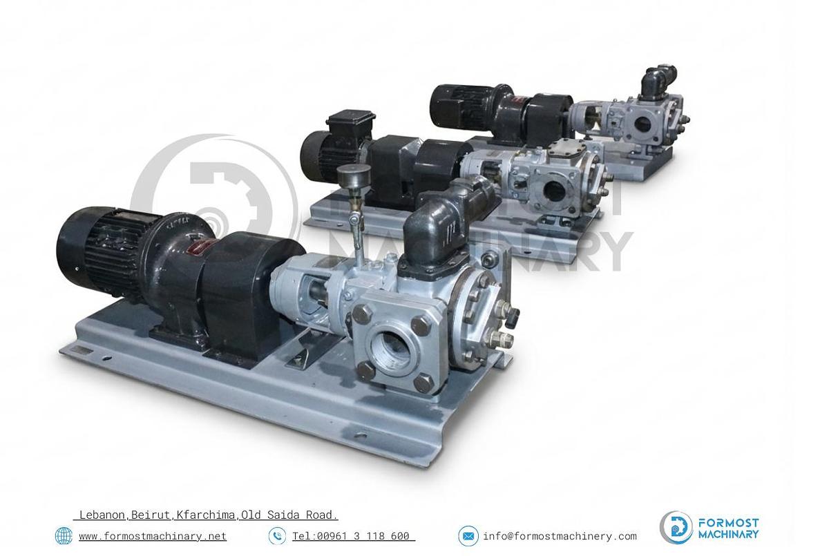 Used Brook Crompton Geared Motor with Peter Rayner Gearbox