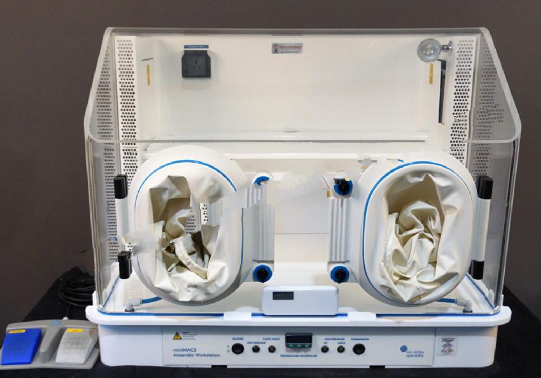 Used Don Whitley MiniMacs Anaerobic HEPA workstation