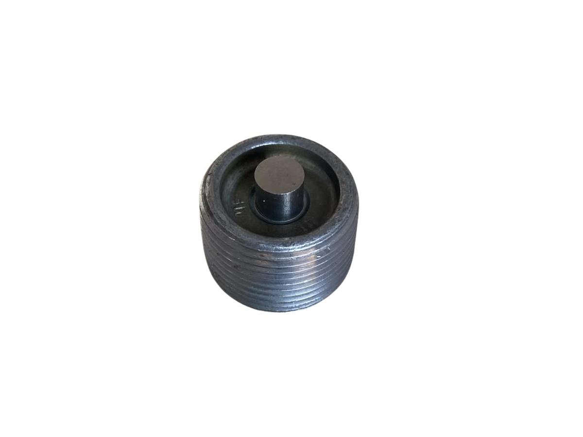 Bujão Rosca Mercedes-Benz A0009972032