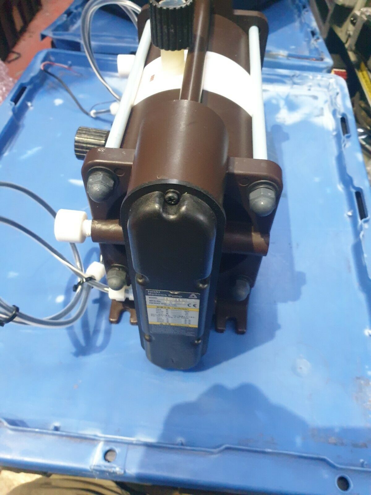 Used Iwaki FF-20BT1 Bellows Pump