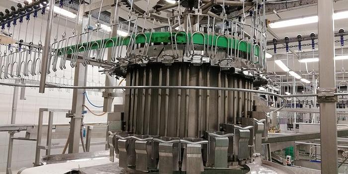 Used Systemate/Linco Evisceration Line