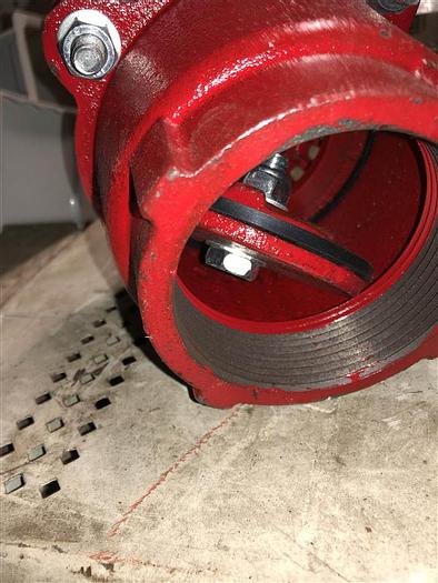 4" Painted Foot Valve