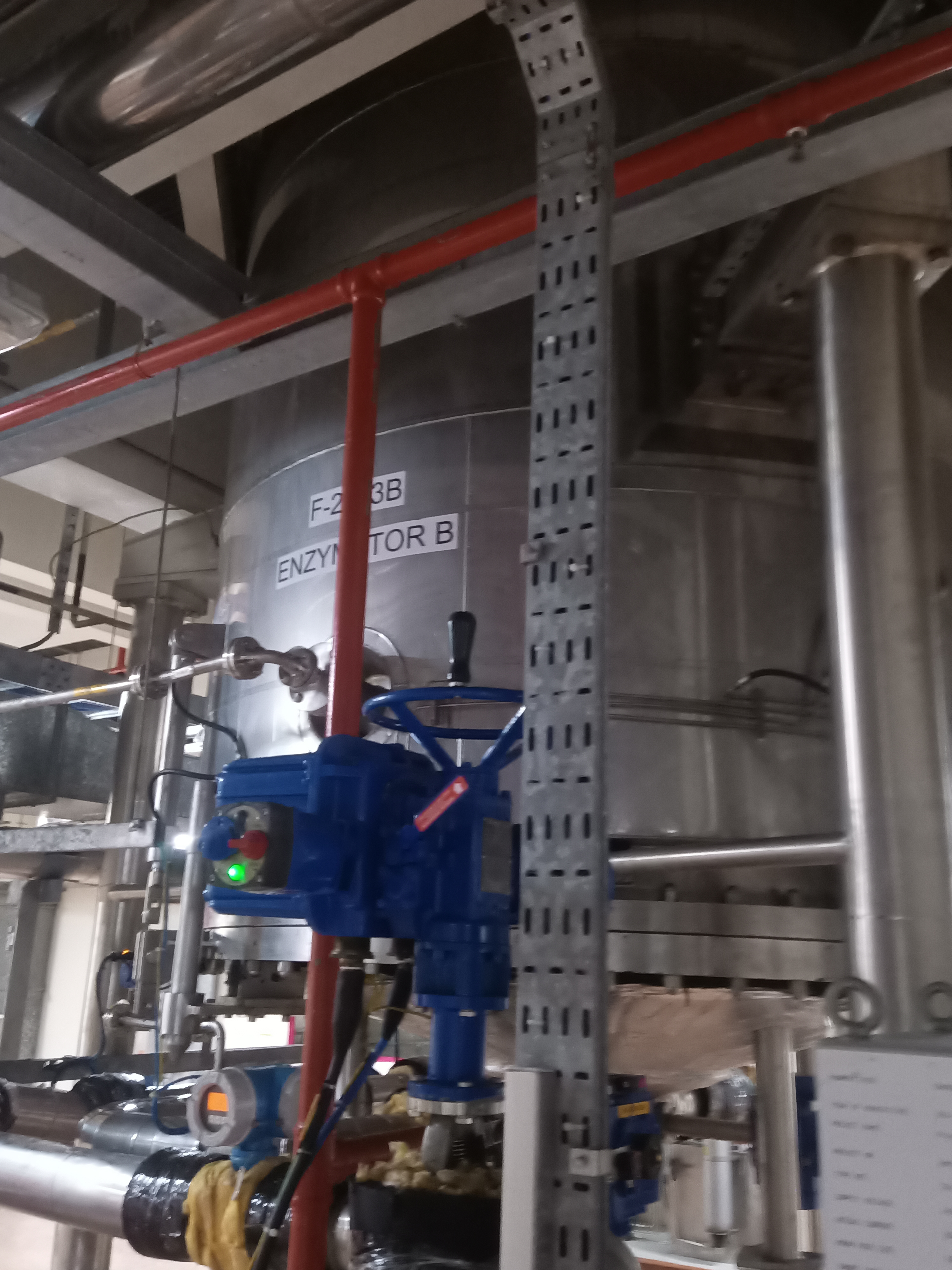 Used Enzymator - Shanghai Morimatsu - SG006