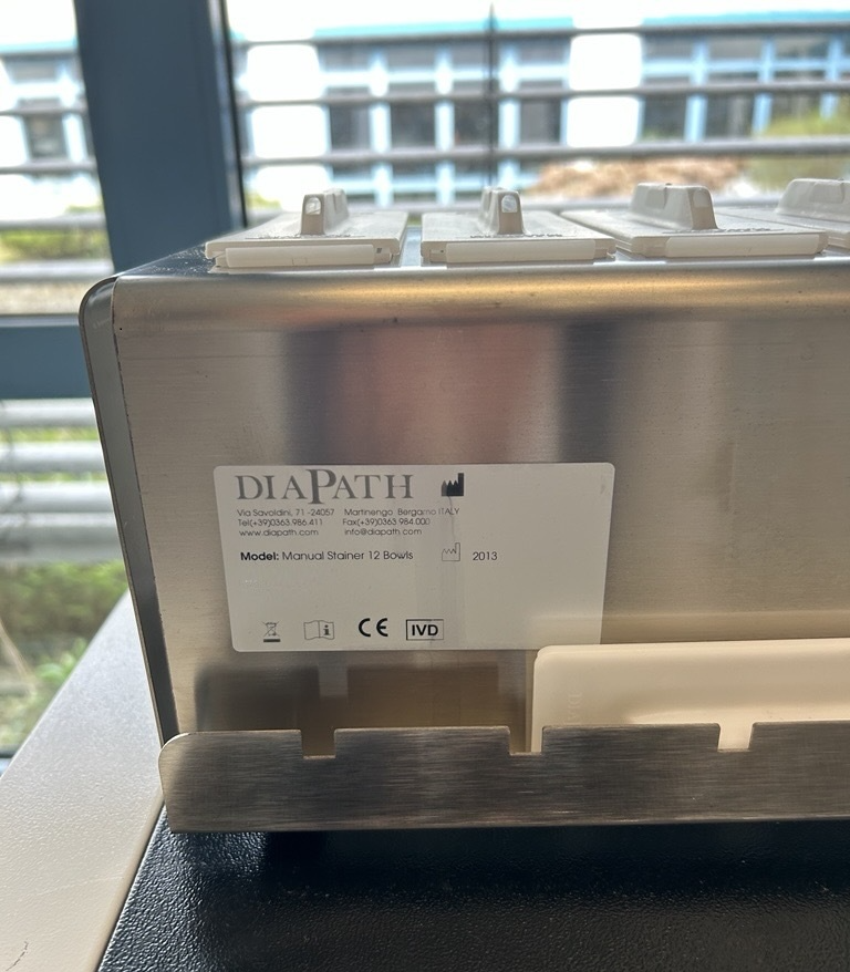 Used Dyeing Device - Diapath - Formafix - BTH141
