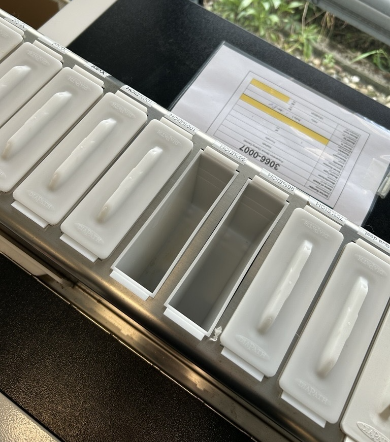 Used Dyeing Device - Diapath - Formafix - BTH141