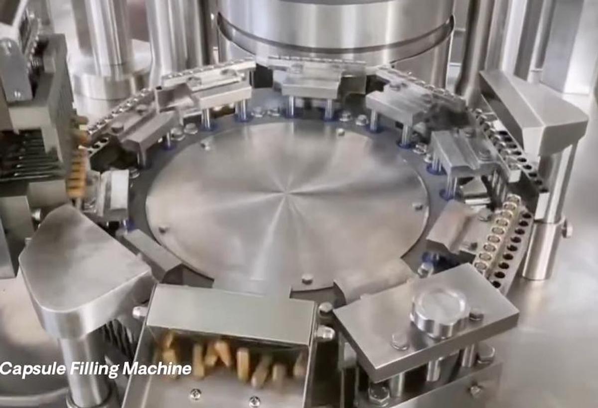 Used Capsule Filling Machine - NJP 1250 - CP.002.LZ