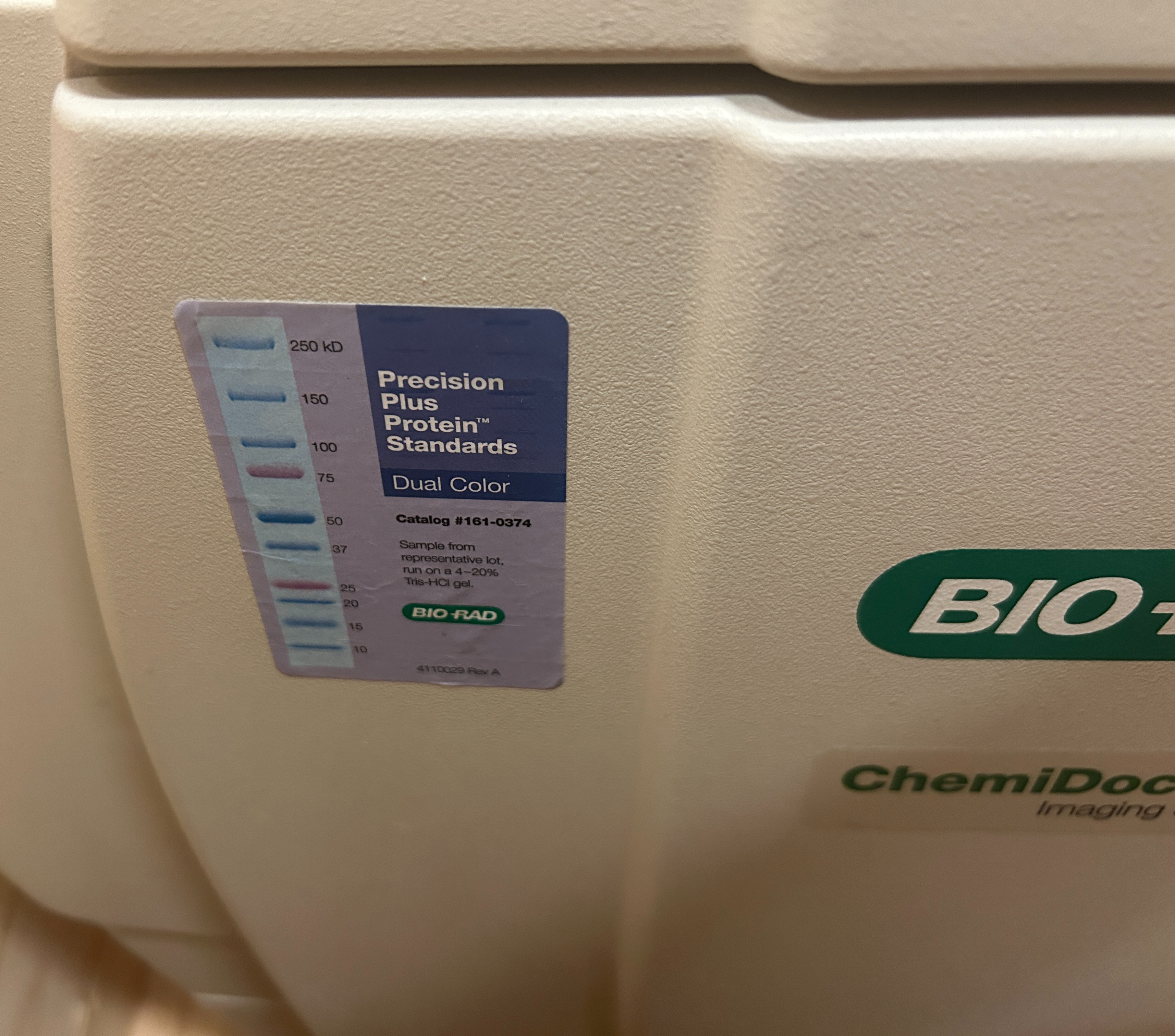 Used Post-Electrophoresis Device -  Biorad - Chemidocmp - BTH138
