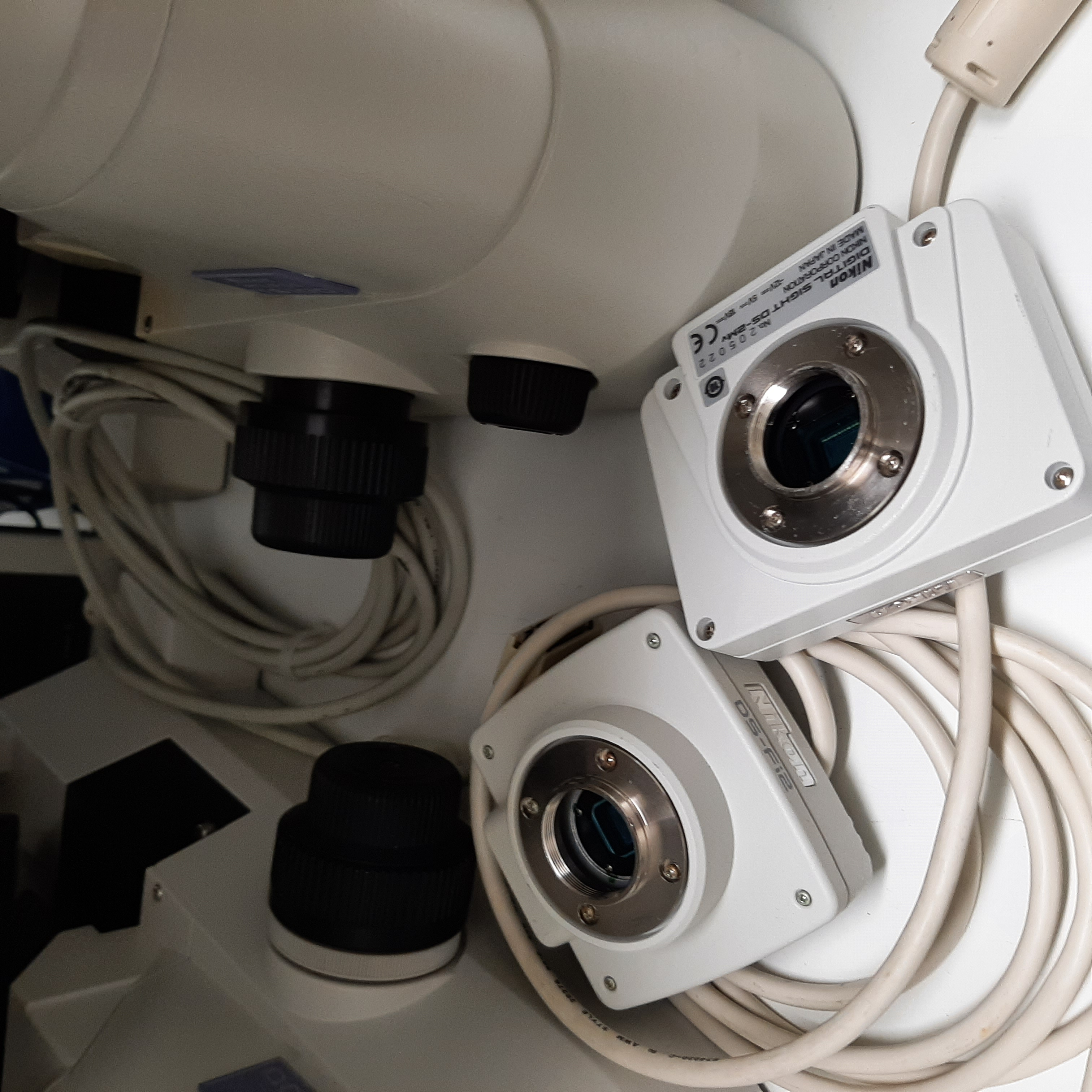 Used Microscope - Nikon - TS100 - 59.06.105.GR-59.06.106.GR