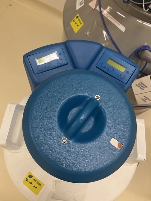 Used Liquid Nitrogen Tank - 36.02.24